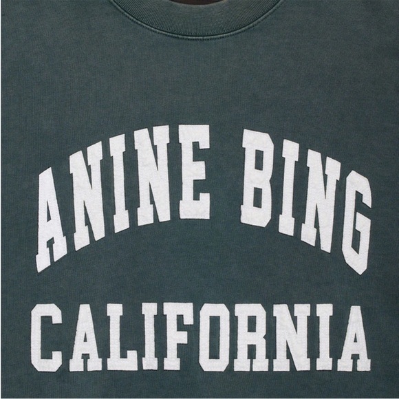 ANINE BING Miles Sweatshirt | washed dark sage | L - Picture 4 of 7
